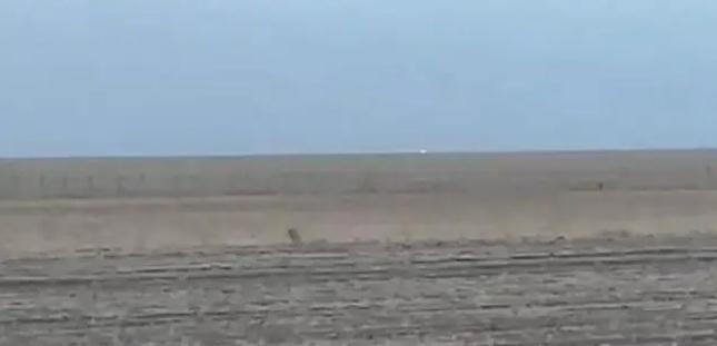 中蒙邊境線明火已被撲滅，為什么蒙古那么容易發(fā)生草原火災？