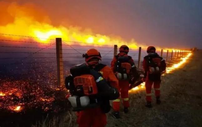 嚴防森林火災，守牢紅線底線