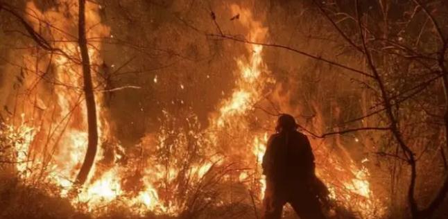 明火已撲滅，初步判斷由祭祀用火引發(fā)！今年已發(fā)生多起
